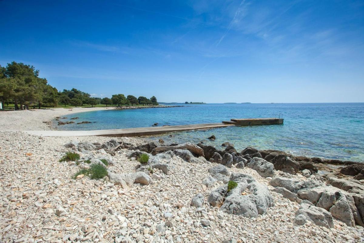 Apartment Dolly Completely Renovated 2023 Rovinj Eksteriør billede